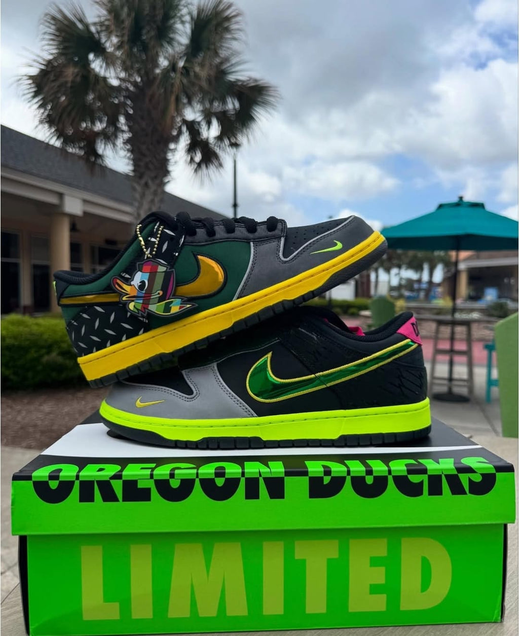 Dunk Low What The Duck University Of Oregon Home