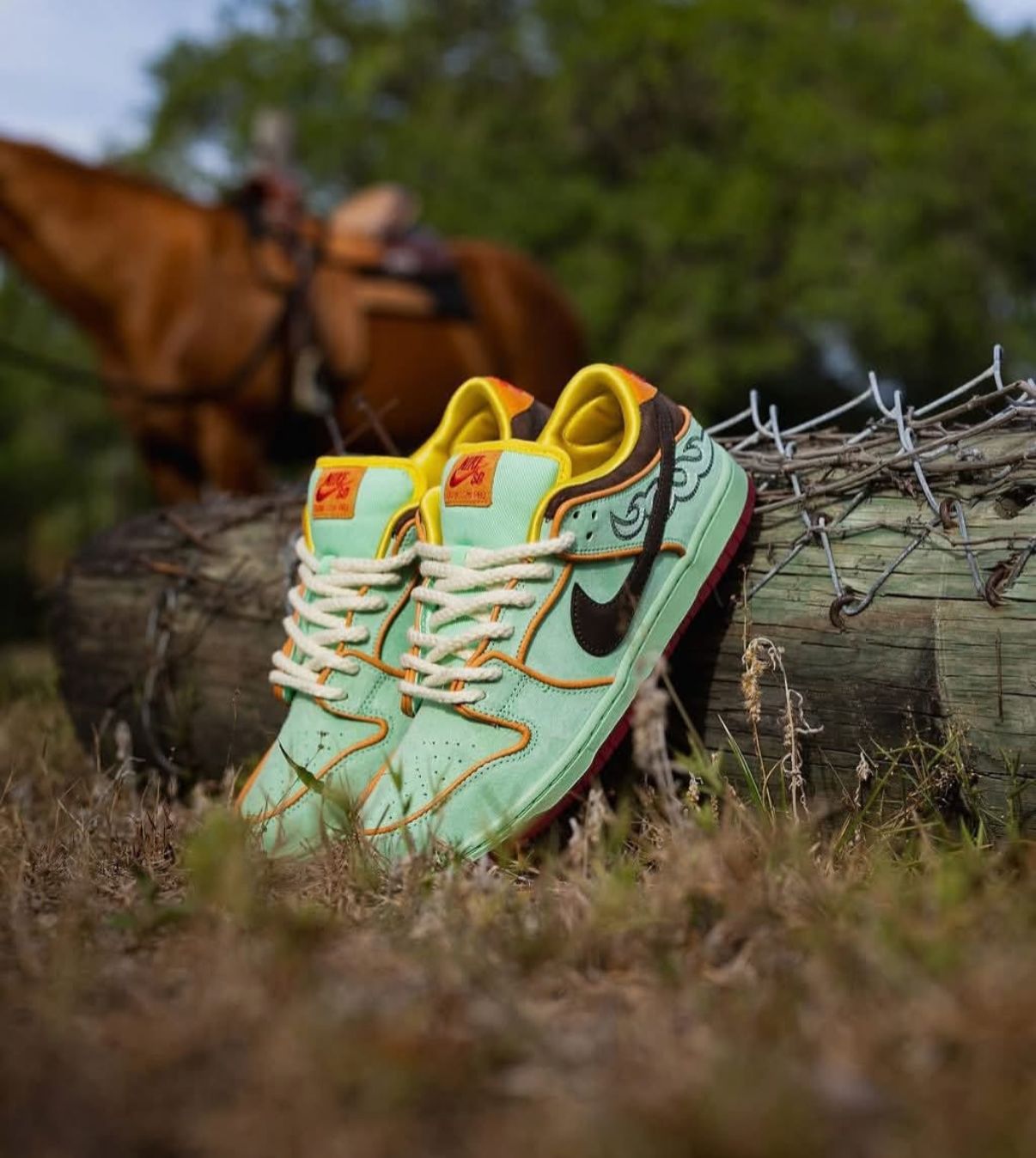 SB dunk rodeo tourmaline