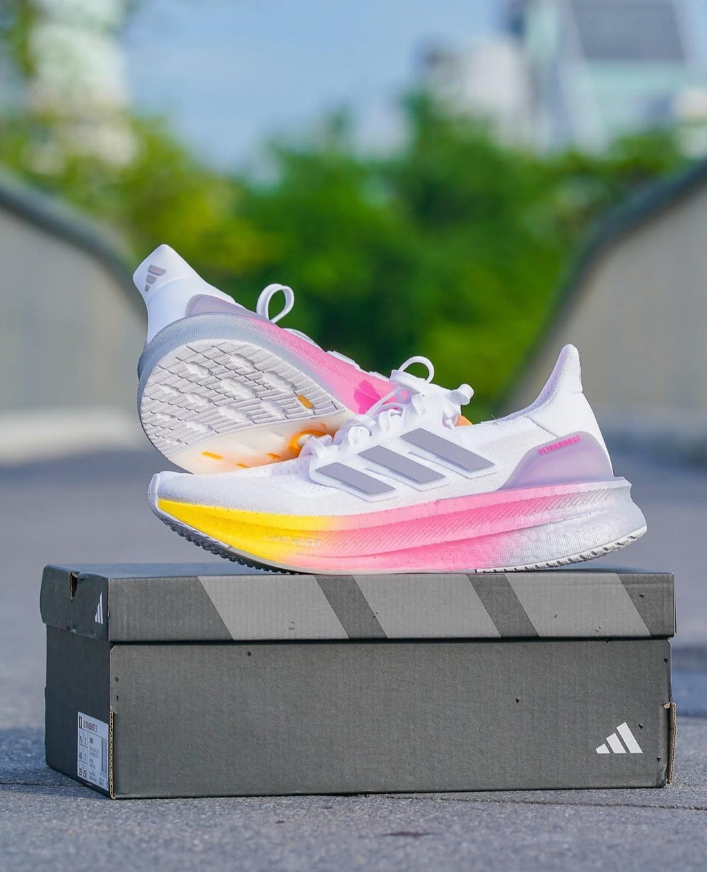 Premium quality shoes